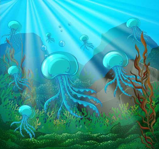 Escena con medusas nadando bajo el agua vector