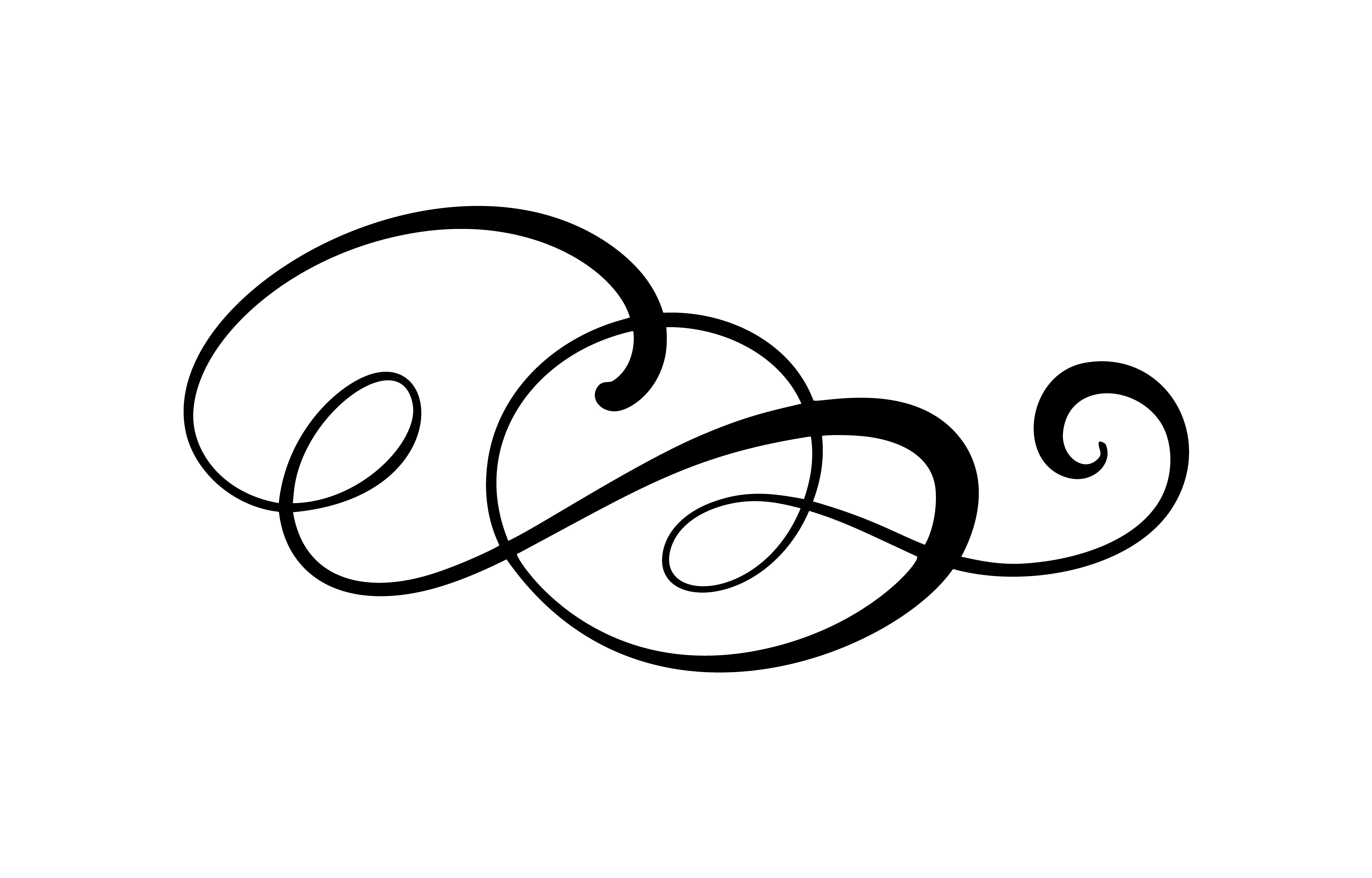 Vector floral calligraphy element flourish border, divider for page ...