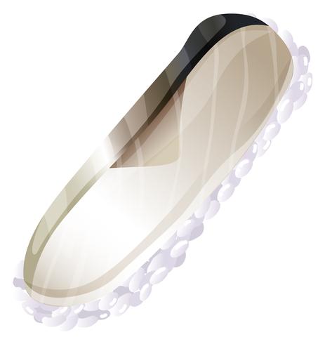 A sushi vector