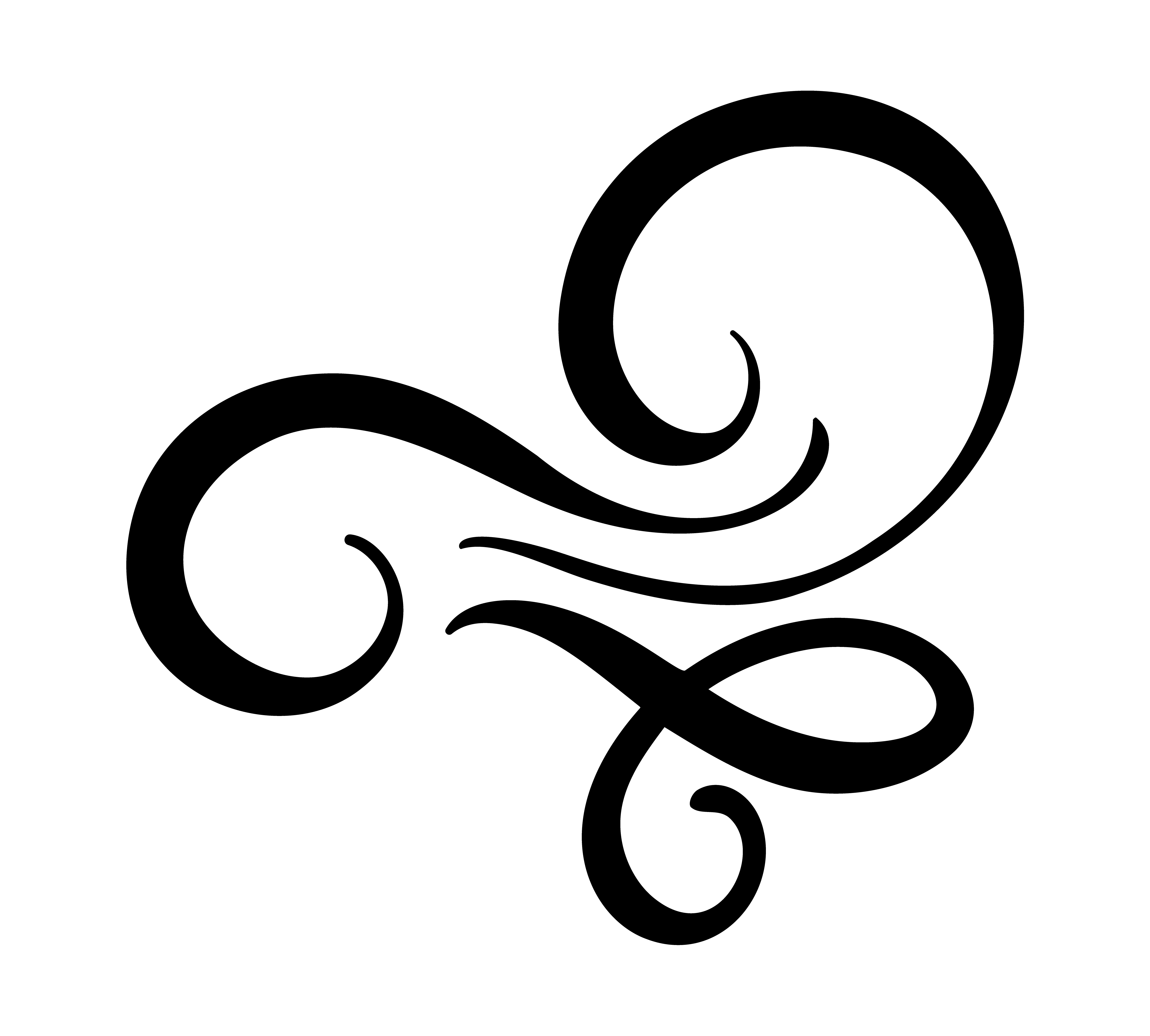 Vector floral calligraphy element flourish, divider for page decoration