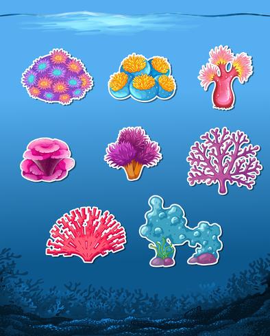 Set of coral sticker vector