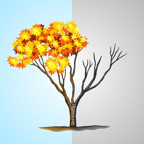 Árbol medio con hojas y medio sin hojas. vector