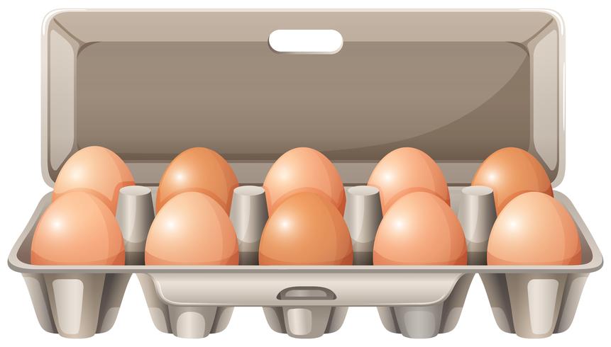 Carton of raw eggs vector