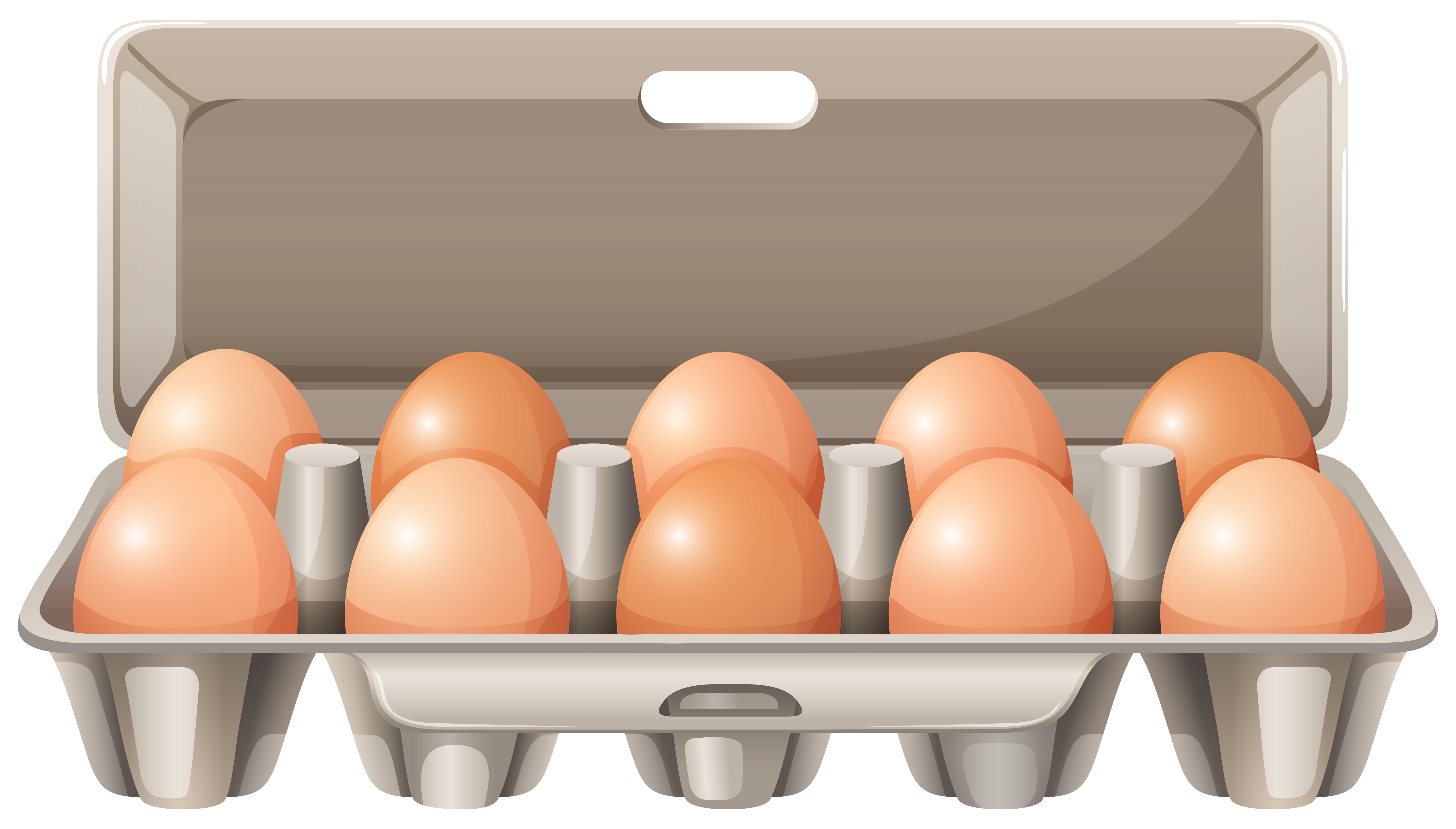 Carton of raw eggs 372395 Vector Art at Vecteezy