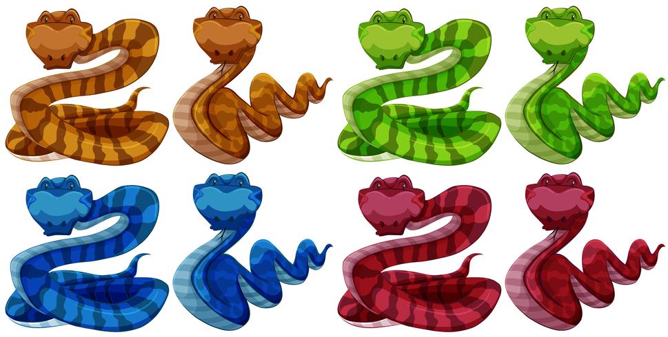 Snakes vector