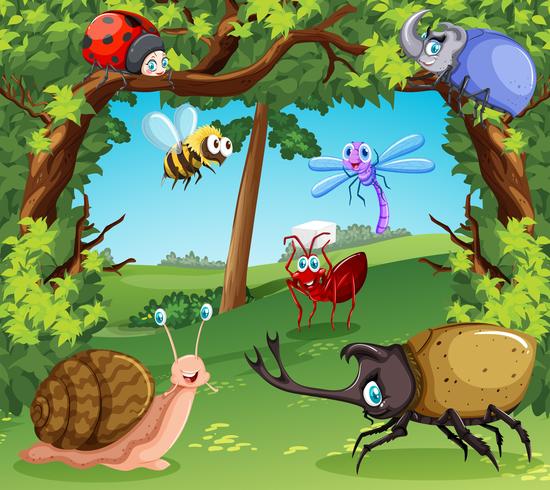 Many types of bugs in the forest vector