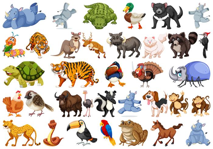 Conjunto de conjuntos de animales vector