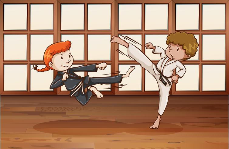Karate vector