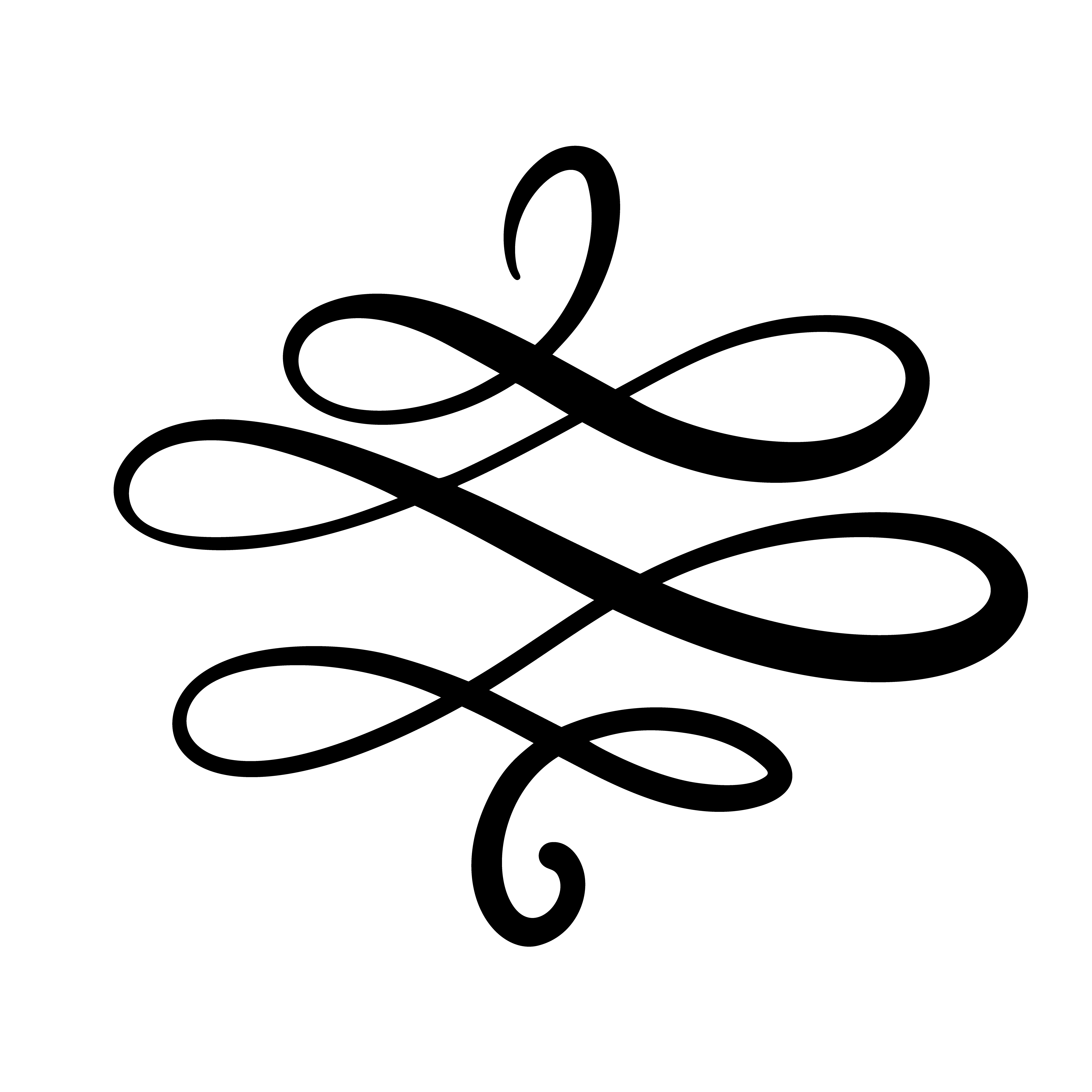 Download Vector floral calligraphy element flourish, hand drawn divider for page decoration and frame ...