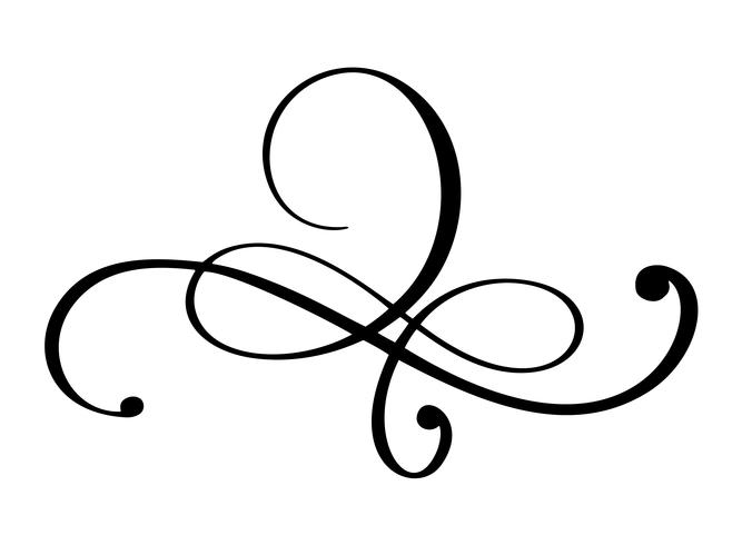 Dibujado a mano frontera florecer separador elementos de diseño de caligrafía. Ilustración de la boda de la vendimia del vector aislada en el fondo blanco