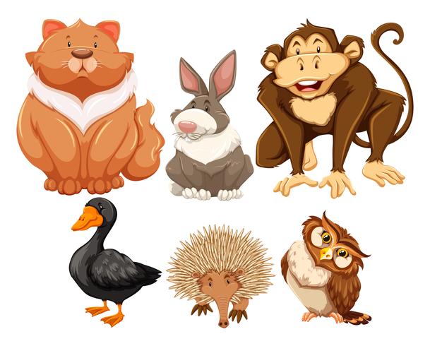 Animals vector