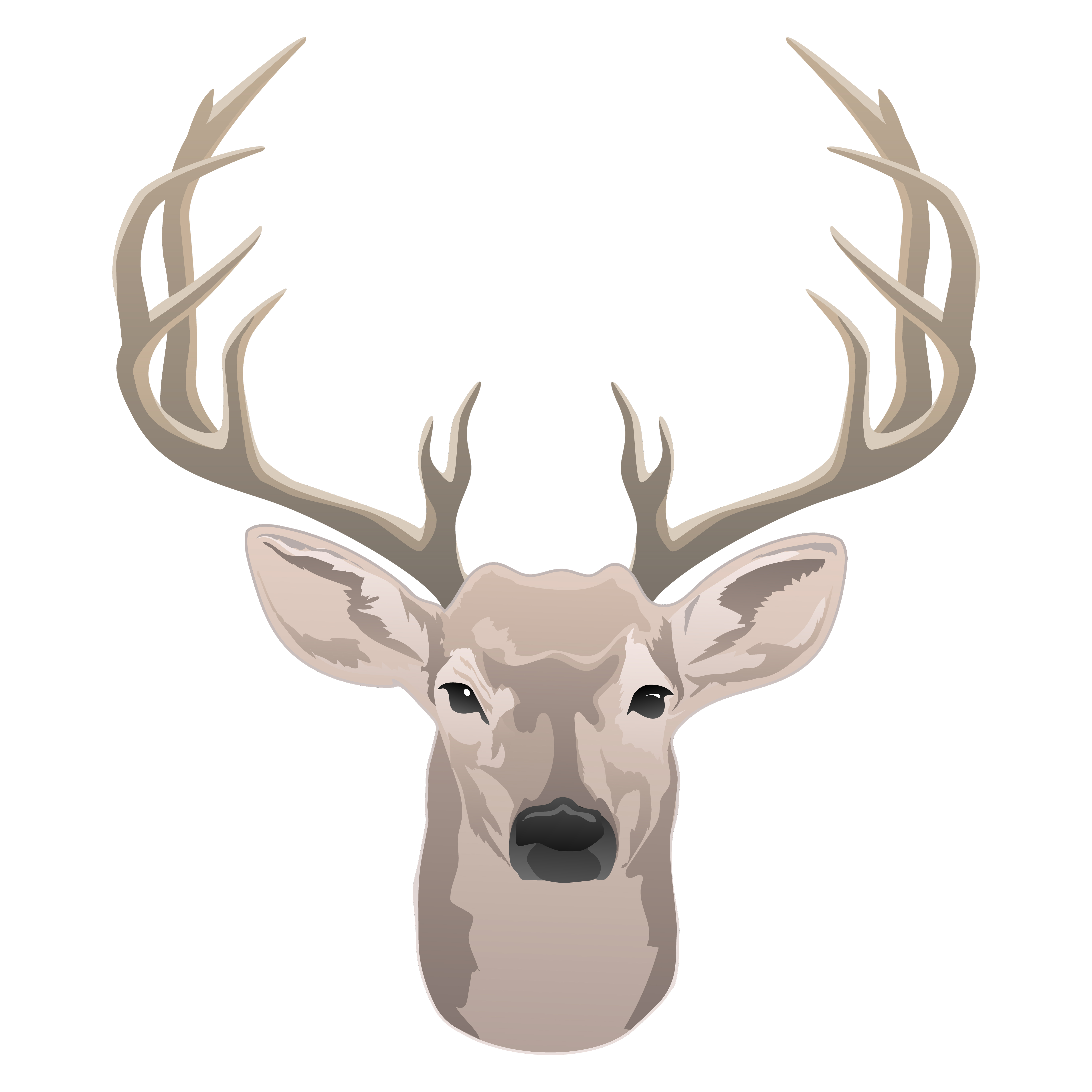 deer head front view