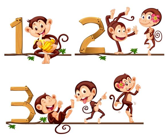 Monkeys and number one to three vector