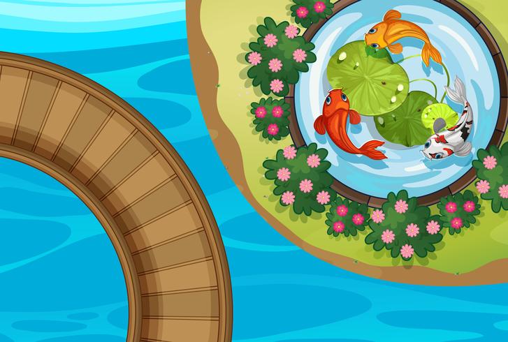 Top view of park with fish in pond vector