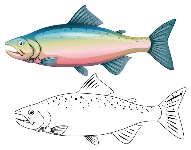 Esquema animal para peces. vector