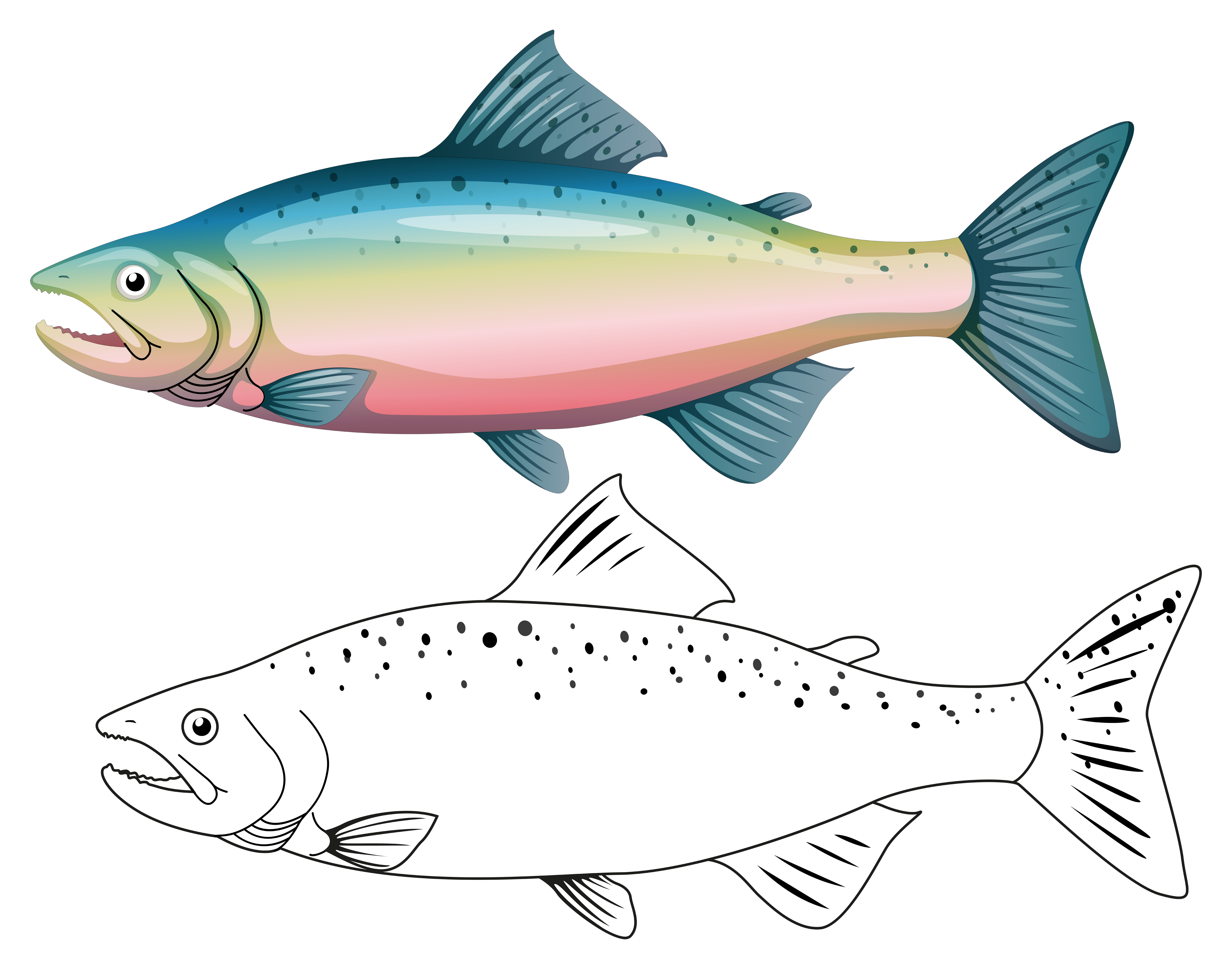 Download Animal outline for fish - Download Free Vectors, Clipart Graphics & Vector Art