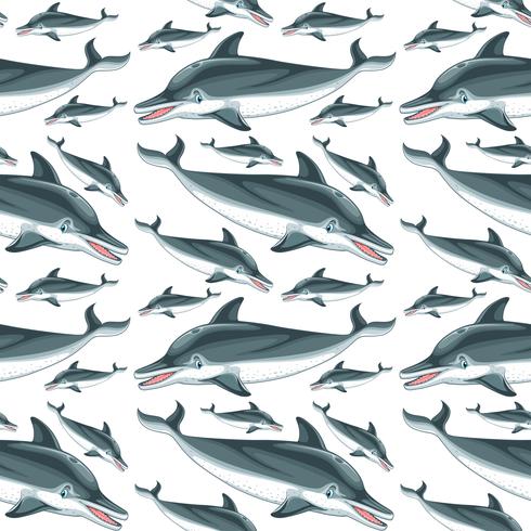 Un patrón sin costuras de delfines. vector