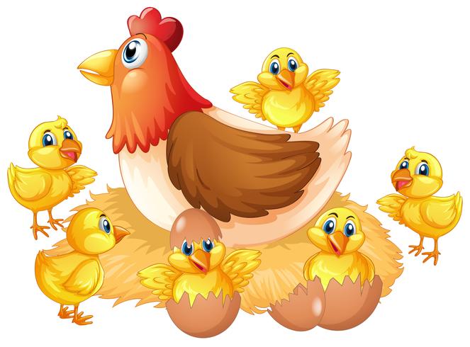 Isolated chicken and chick vector