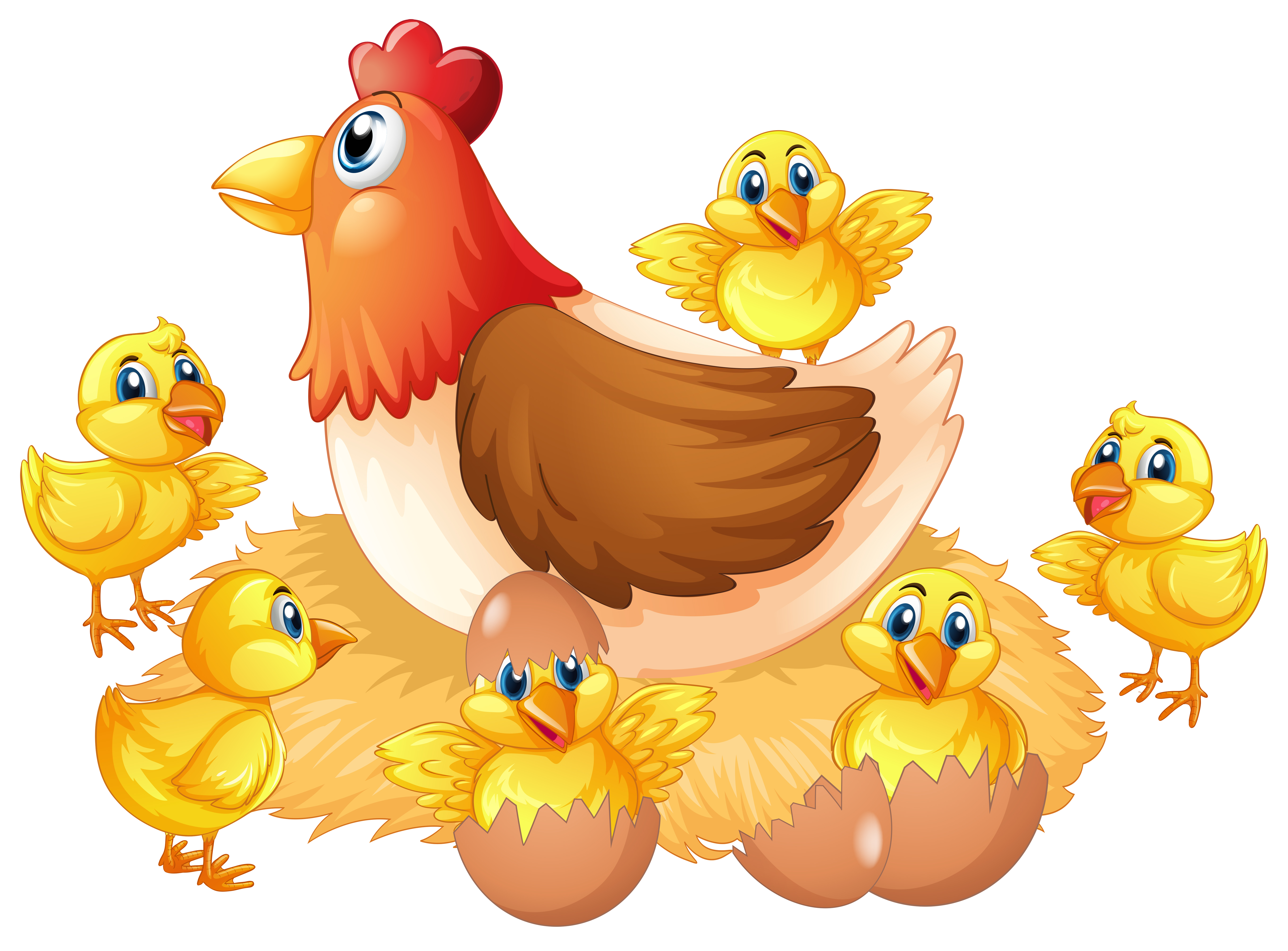 Isolated chicken and chick 373519 Vector Art at Vecteezy