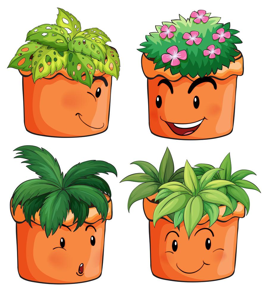 Flower pots with different types of plants 373556 Vector Art at Vecteezy