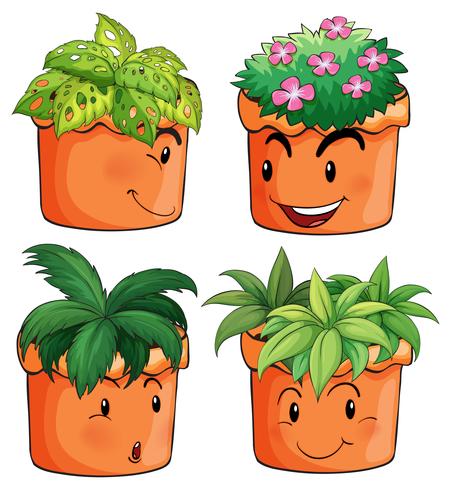 Flower pots with different types of plants