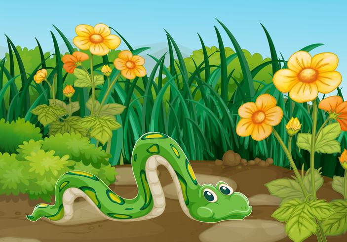 Green snake crawling in garden vector