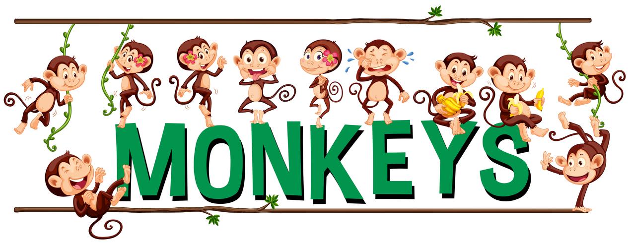 Font design for word monkeys vector