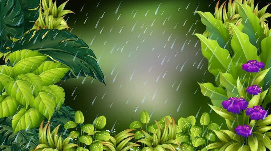 Forest scene on rainy day vector