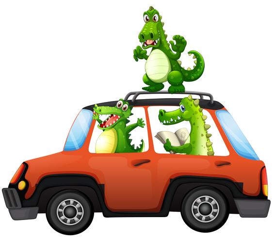 Crocodile travel by car