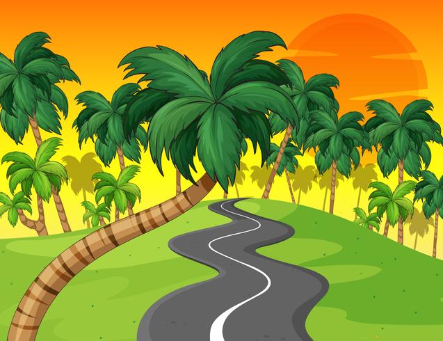 Palm forest and empty road vector