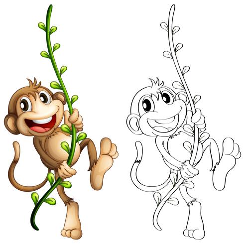 Animal outline for monkey on vine vector