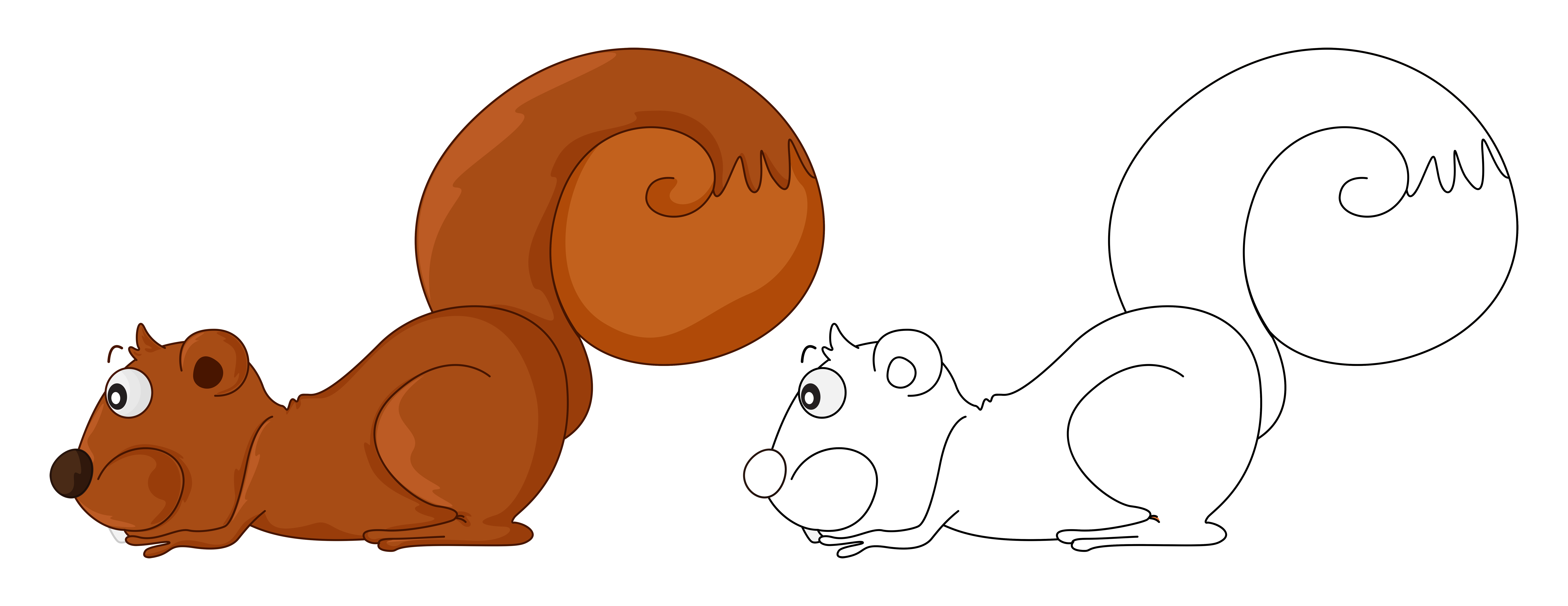 Animal outline for squirrel 373795 Vector Art at Vecteezy