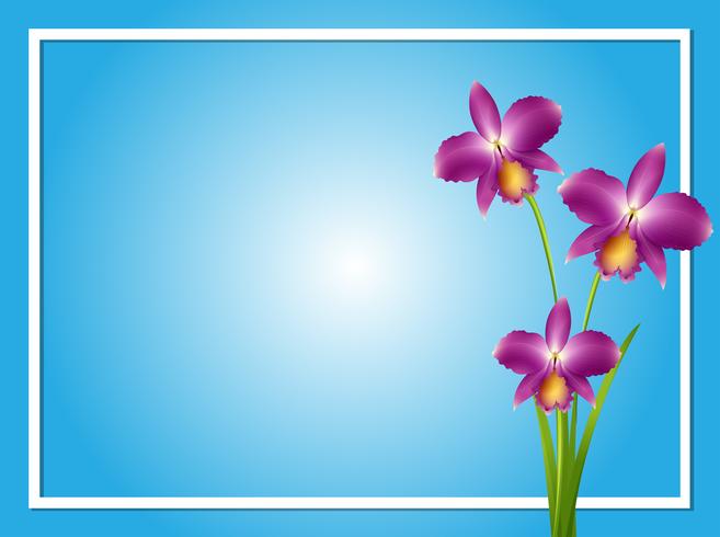 Border template with purple orchid vector