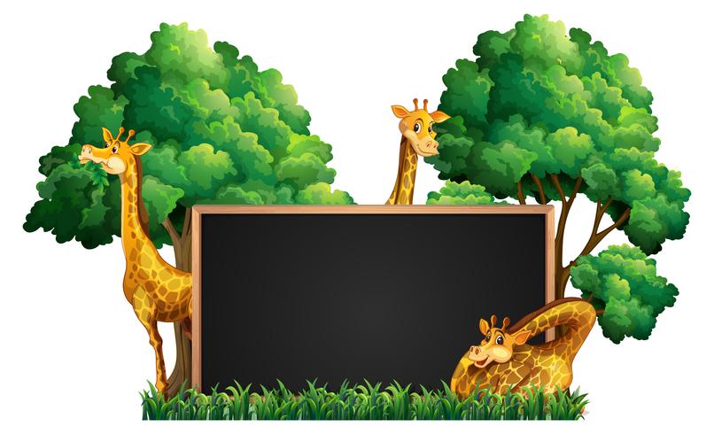 Blackboard with wild giraffes in park vector