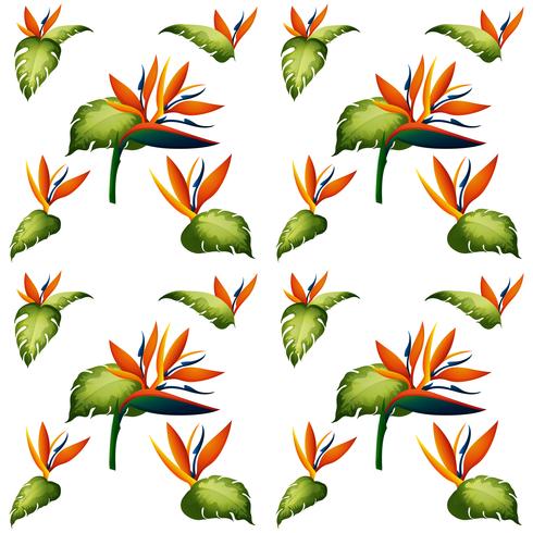 Seamless background design with bird of paradise flower vector