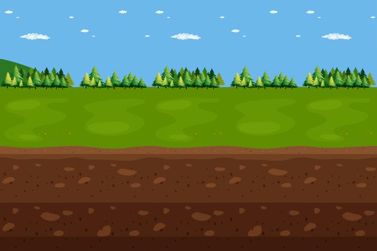 Forest Panorama Landscape and Underground vector