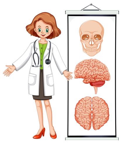 Female doctor and brian diagram vector