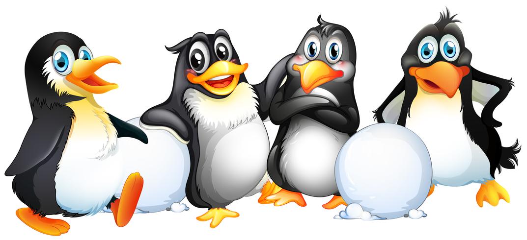 Cuatro pingüinos con bolas de nieve. vector