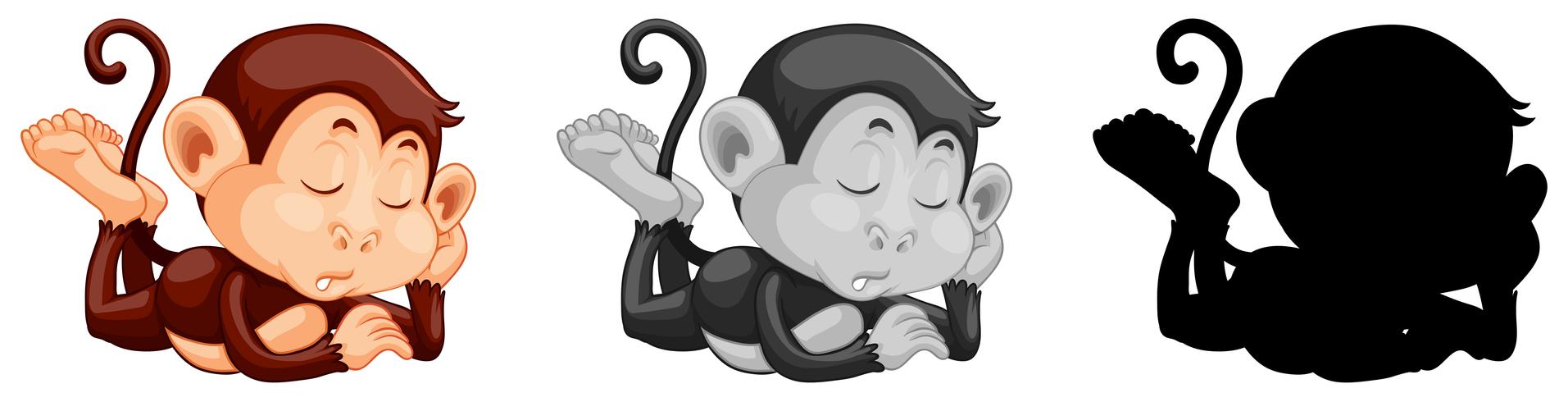 Set of monkey sleeping vector