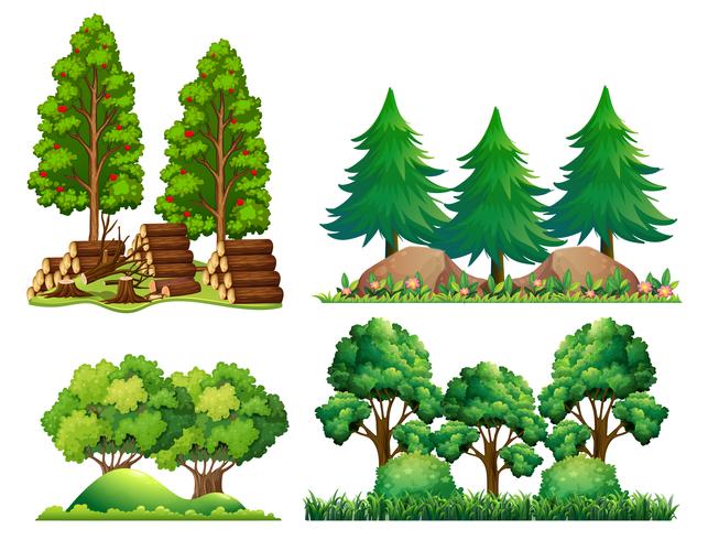 Un conjunto de paisaje forestal vector