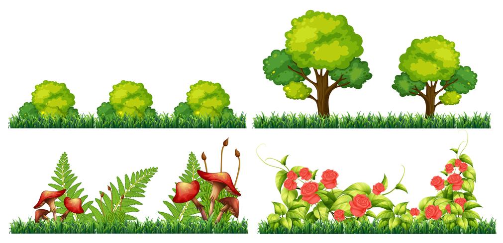 Set of decoration plant vector