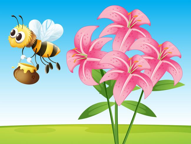 Scene with lily and bee vector