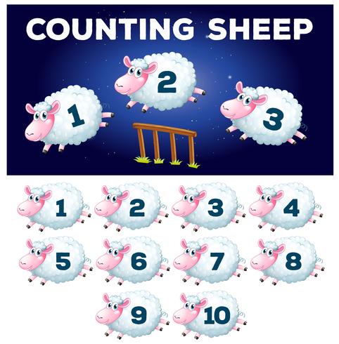 A math counting sheep vector