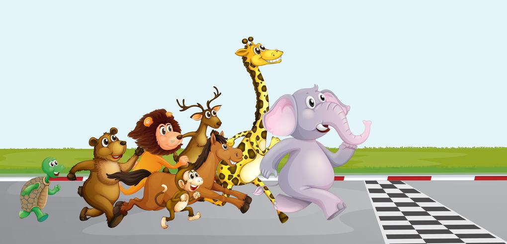 Wild animals running on the road vector