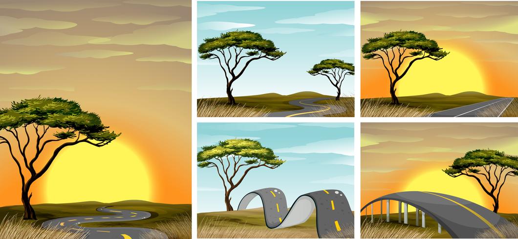 Road scenes in savanna field at sunset vector