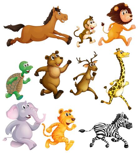 Different types of animal running vector