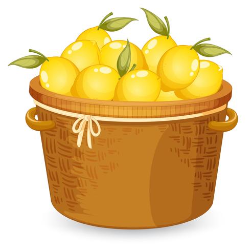 A basket of lemon vector