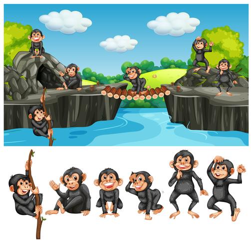 Baby ape in cave vector