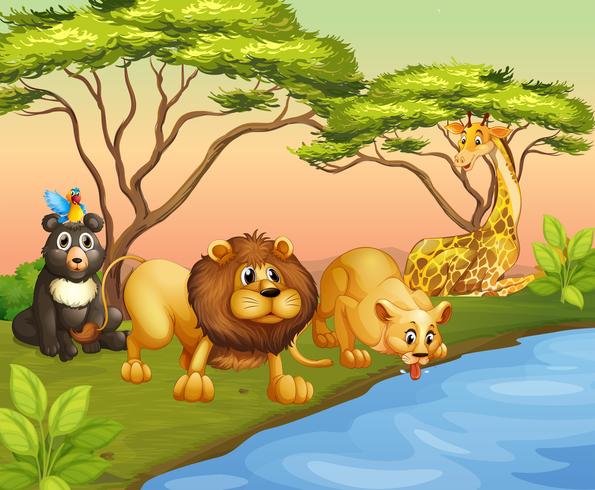 Animals drinking water from the river 374264 Vector Art at Vecteezy