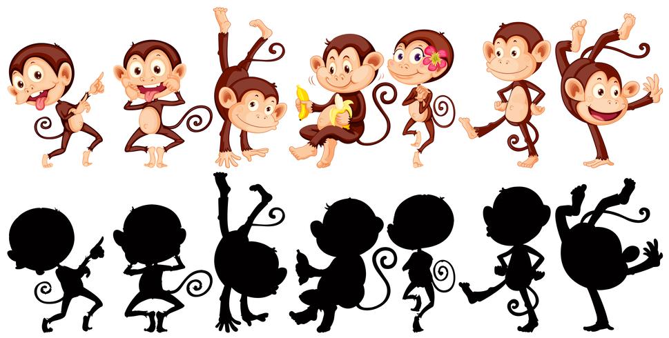 Monos en muchas acciones. vector